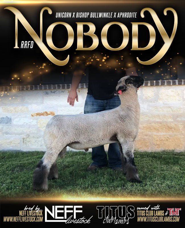 Nobody