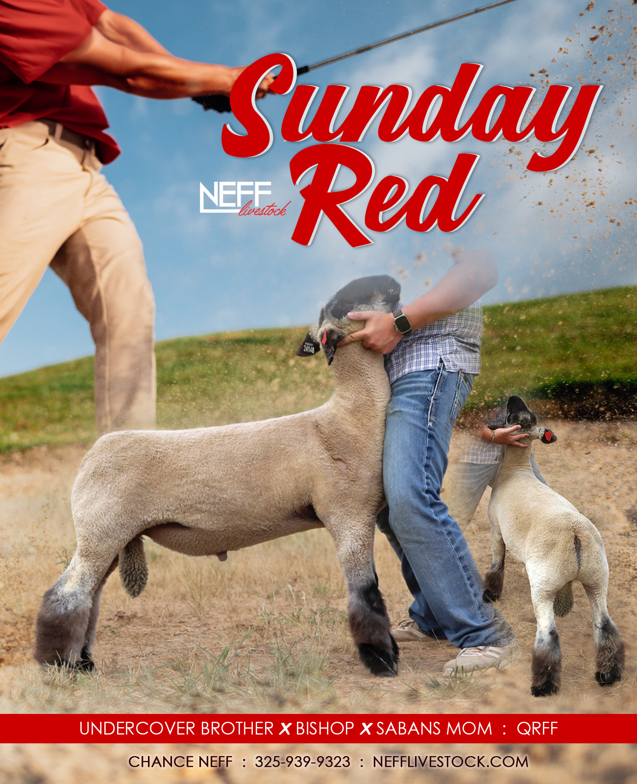 Sunday Red